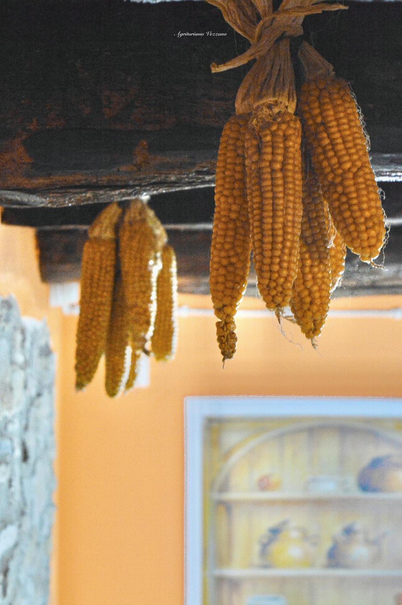 Agriturismo Vezzano Chiusi della Verna Zimmer foto